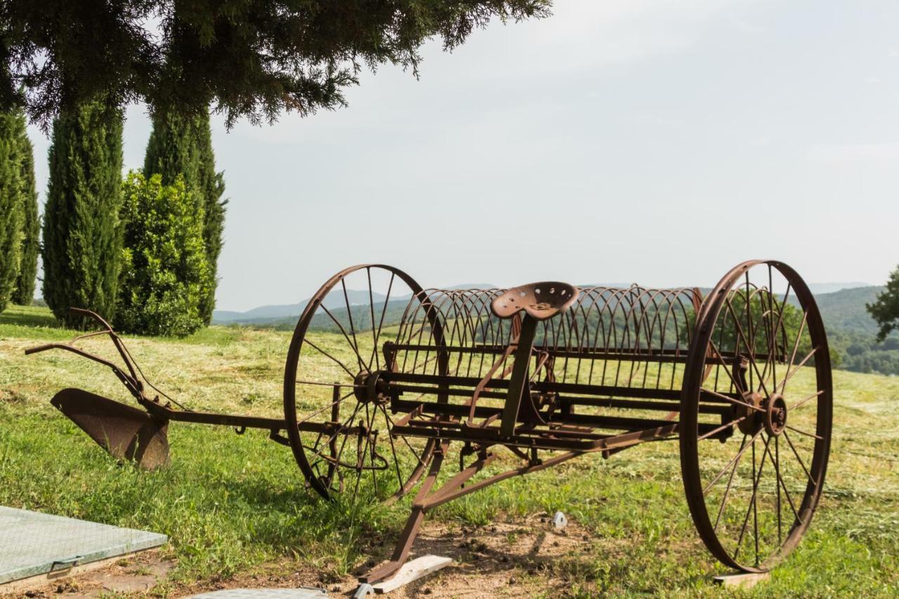 Agriturismo Il Felciaione マッサ・マリッティマ エクステリア 写真